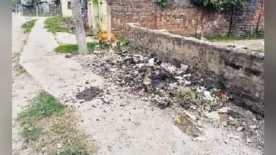 लाखों खर्च, नतीजा सिफर, स्वच्छ शहर का सपना बना सपना