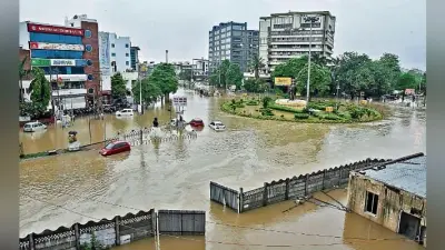 अगस्त-सितंबर में मॉनसून के सामान्य रहने की उम्मीद, झारखंड में 37 फीसदी और दिल्ली में 28% कम हुई बारिश