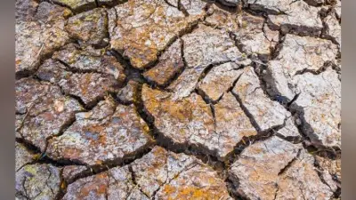 स्त्री क्या प्रत्येक प्रकार के प्रयोग की समिधा है ?