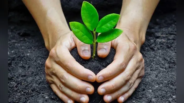 जल शक्ति अभियान : पौधे लगा हरियाली वापस लाने का संकल्प