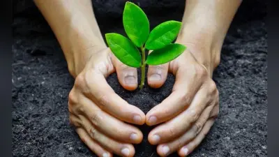 जल शक्ति अभियान : पौधे लगा हरियाली वापस लाने का संकल्प