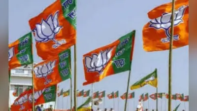 किसको मिलेगी प्रदेश भाजपा के संगठनों की कमान, चर्चाओं का बाजार गर्म