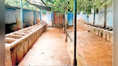 कल जहां बहती थी दूध की नदी, अब है वीरानी