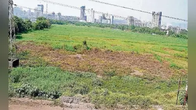 पटना : मार्च तक 38 हजार भूमिहीनों को मिलेगी जमीन