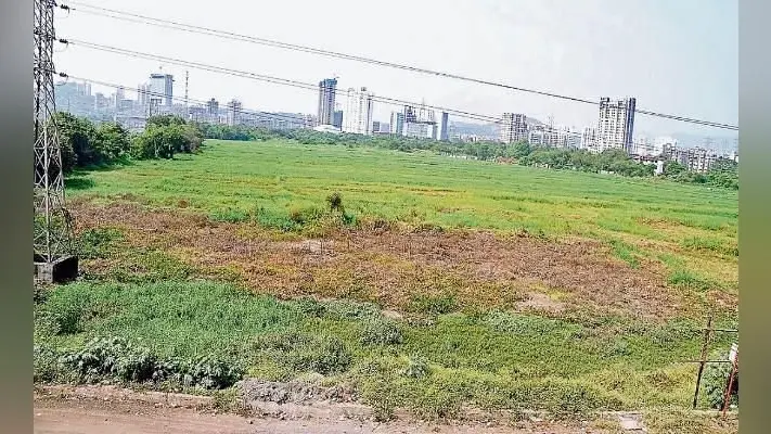 पटना : प्रदेश में जमीन विवाद के 36 हजार मामले लंबित
