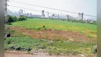 पटना : प्रदेश में जमीन विवाद के 36 हजार मामले लंबित