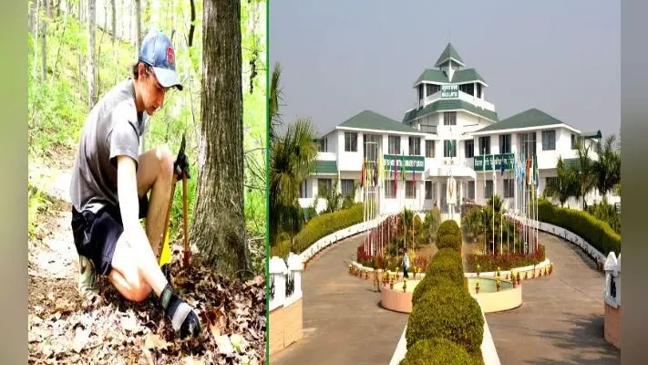 वन संरक्षण और जैव विविधता को बचाए रखने के लिए वानिकी में प्रोफेशनल्स की है जरुरत, यहां लें दाखिला