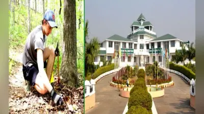 वन संरक्षण और जैव विविधता को बचाए रखने के लिए वानिकी में प्रोफेशनल्स की है जरुरत, यहां लें दाखिला