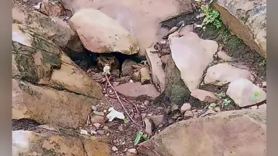 जवानों को उड़ाने की साजिश नाकाम, आइडी बम बरामद