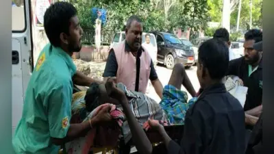 झारखंड : अनगड़ा में जंगली हाथी ने एक व्यक्ति को कुचला, रिम्स में भरती