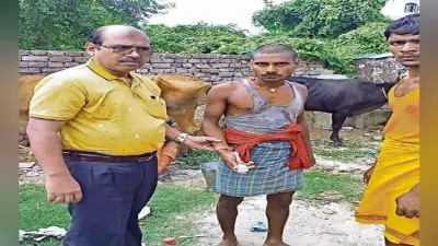 मेन रोड पर गाय को दे रहा था ऑक्सीटोसिन इन्जेक्शन, 100 लीटर दूध सड़क पर बहाया