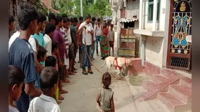 एकतरफा प्यार में प्रेमी ने प्रेमिका के सीने में मारी गोली, मौत