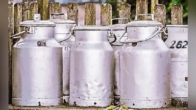 पटना : शहर में 50 प्रतिशत विक्रेता बिना लाइसेंस के बेच रहे दूध