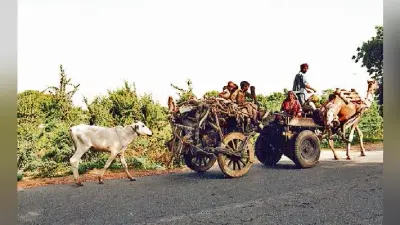 क्यों बेचारे हो गये बंजारे?
