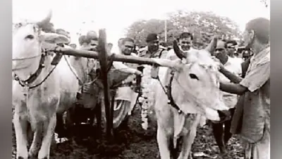 मधुबनी : जब डॉ जगन्नाथ मिश्र ने सीएम रहते चलाया था हल, दिया था बड़ा संदेश