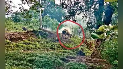 डकरा : फैल रही बेलांगी पहाड़ में लगी आग