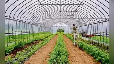 किसान पॉली हाउस में करें सब्जी व फूलों की खेती, होगा अधिक लाभ