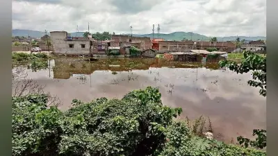 उफनाई गंगा, साहिबगंज में घुसा पानी, जिले के 72 गांव बाढ़ से प्रभावित