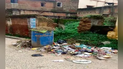 मधुपुर में जगह-जगह पसरी गंदगी, परेशानी