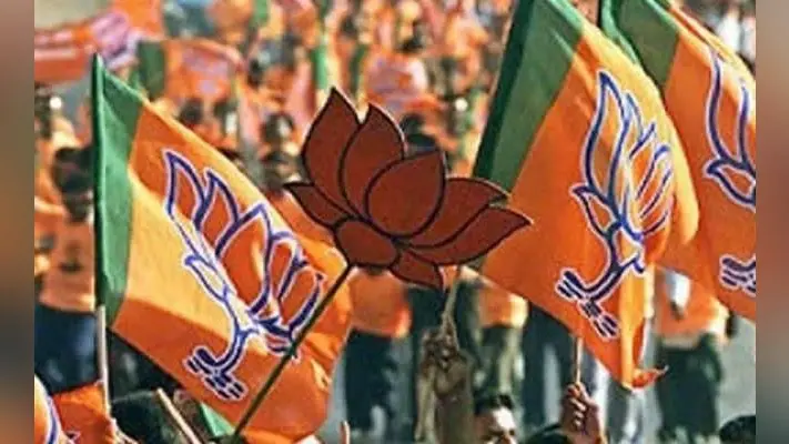भाजपा की सांगठनिक चुनावी प्रक्रिया को लेकर बैठक कल
