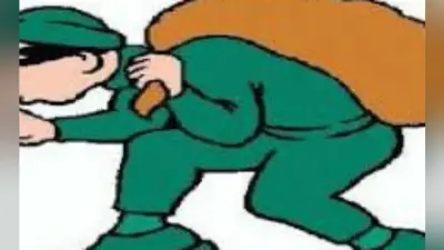 17 होटल का मालिक है यह NRI , हवाईअड्डे से सामान चोरी करते धराया