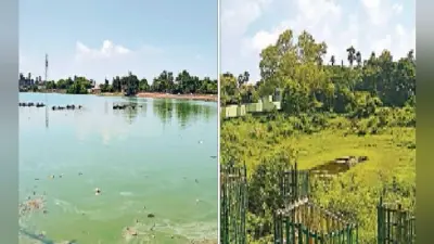 जल संकट : नगर निगम ने खाेजे शहर के 12 तालाब
