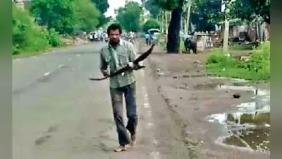 तीन साल से एक आदमी पर रोज हमला कर रहा कौवा, बच्चे की मौत का लेना चाहता है बदला