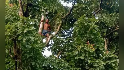 ….और पत्नी की हत्या कर पेड़ पर चढ़ गया, समझाने पर कूदा