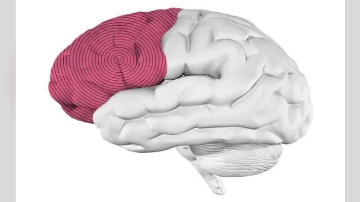 Research: संगीत सुनना आैर उसे याद करना, दो अलग-अलग दिमागी प्रक्रिया