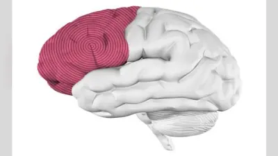 Research: संगीत सुनना आैर उसे याद करना, दो अलग-अलग दिमागी प्रक्रिया