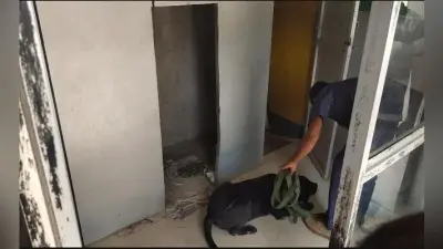 बेतिया : 28.83 लाख कैश समेत एटीएम उखाड़ ले गये अपराधी, थाना से महज 200 मीटर की दूरी हुई वारदात