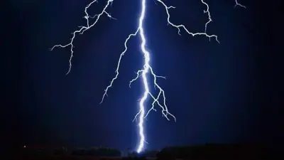 मझिआंव में पेड़ पर गिरा ठनका दो सगे भाई समेत आठ की मौत