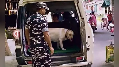 सीतामढ़ी : 26/11 जैसी घटना की फिराक में नेपाल पहुंचे पाक के सात संदिग्ध आतंकी, हाइ अलर्ट