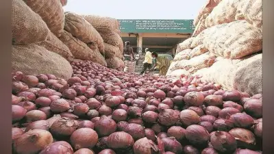 प्याज की बढ़ती कीमतों और मुनाफाखोरी पर काबू पाने के लिए सरकार ने तय किये न्यूनतम निर्यात मूल्य