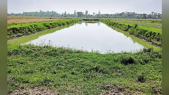 पटना : पानी बचाने व हरियाली लाने पर खर्च होंगे 24 हजार करोड़