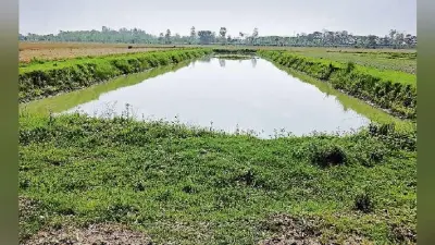पटना : पानी बचाने व हरियाली लाने पर खर्च होंगे 24 हजार करोड़