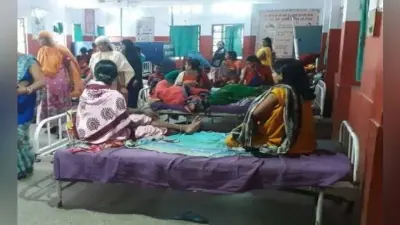 3000 से अधिक बेड फुल, एक-एक बेड पर दो-दो मरीज, कई का तो जमीन पर ही इलाज