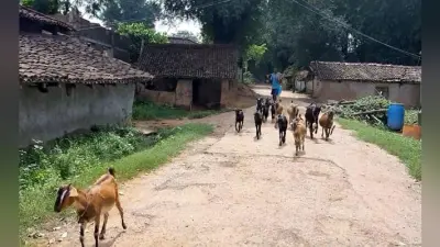 बिजली पानी और रोजगार की समस्या से जूझ रहा है स्वतंत्रता सेनानियों का यह गांव