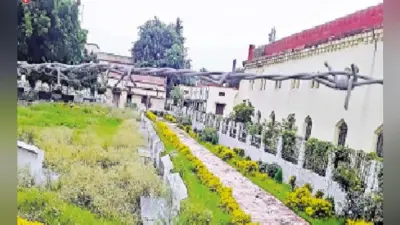 बनना था सुसज्जित पार्क, तब्दील हुआ जंगल में