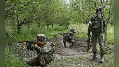 पुंछ और राजौरी के रिहायशी इलाकाें में पाकिस्तान की गोलीबारी में 16 मवेशियों की मौत