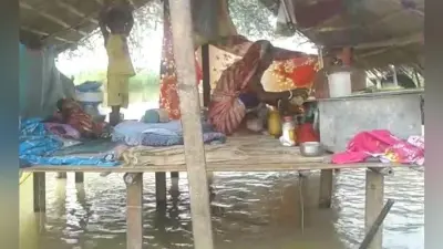 साहिबगंज : बाढ़ प्रभावित क्षेत्र के लोगों के लिए उज्जवला गैस बना सहारा, लोग मचान पर बना रहे खाना