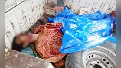 पश्चिम चंपारण : बाघ ने वन पोषक सोहन को मार डाला, मनरेगा के वृक्ष की रखवाली के दौरान बनाया शिकार