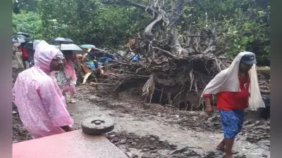 बिहार : पटना में ऑटो रिक्शा पर पेड़ गिरा, एक बच्ची समेत चार की मौत