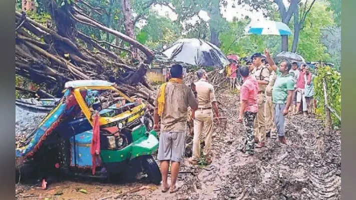 खगौल : टेंपो पर गिरा पेड़, एक ही परिवार के चार की मौत