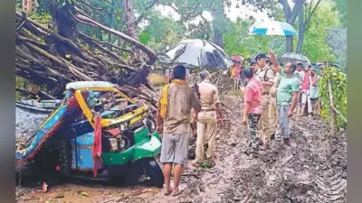 खगौल : टेंपो पर गिरा पेड़, एक ही परिवार के चार की मौत
