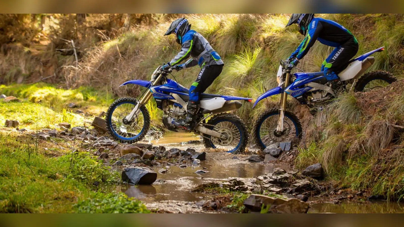 Off-Road Bikes: भारत में बिकने वाली टॉप 5 ऑफ-रोडिंग बाइक्स, जानें इनकी कीमत और खासियत से जुड़ी हर डिटेल