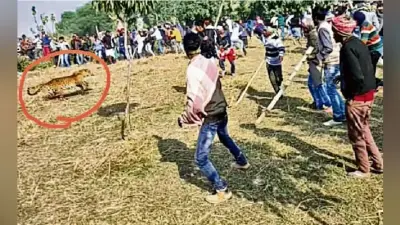 पतना में घुसा तेंदुआ, आठ को किया जख्मी