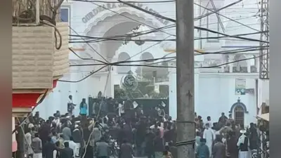 ननकाना साहिब गुरुद्वारे पर पत्थरबाजी से भारत नाराज, पाकिस्तान को लगाई फटकार, कही ये बात