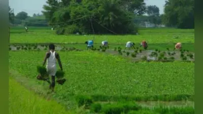 रांची : किसानों को आज से मुफ्त बिजली कनेक्शन मिलेगा