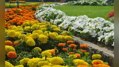 हॉर्टिकल्चर गार्डेन में फ्लावर शो